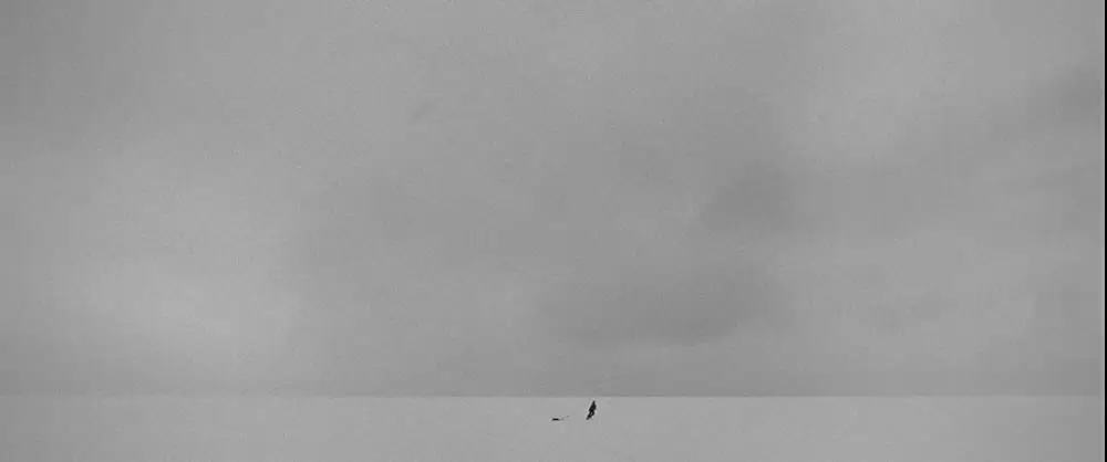 異端の鳥の画像