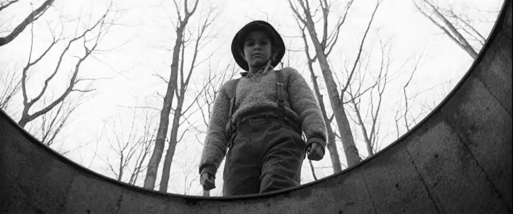 異端の鳥の画像