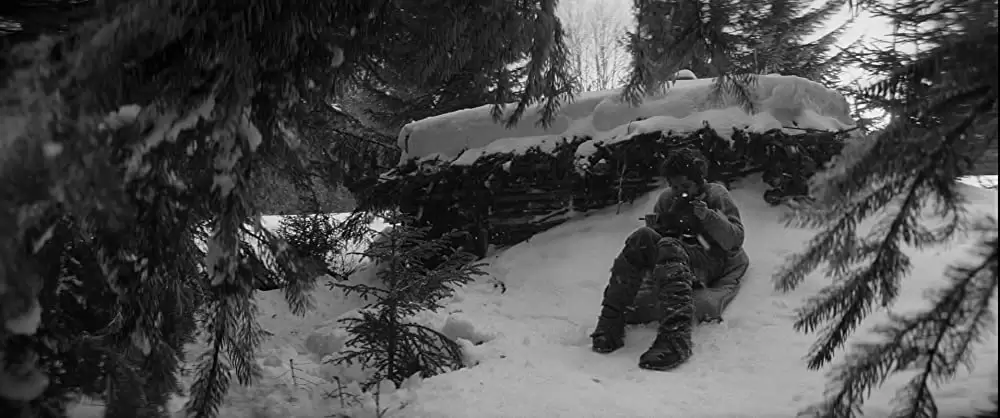 異端の鳥の画像