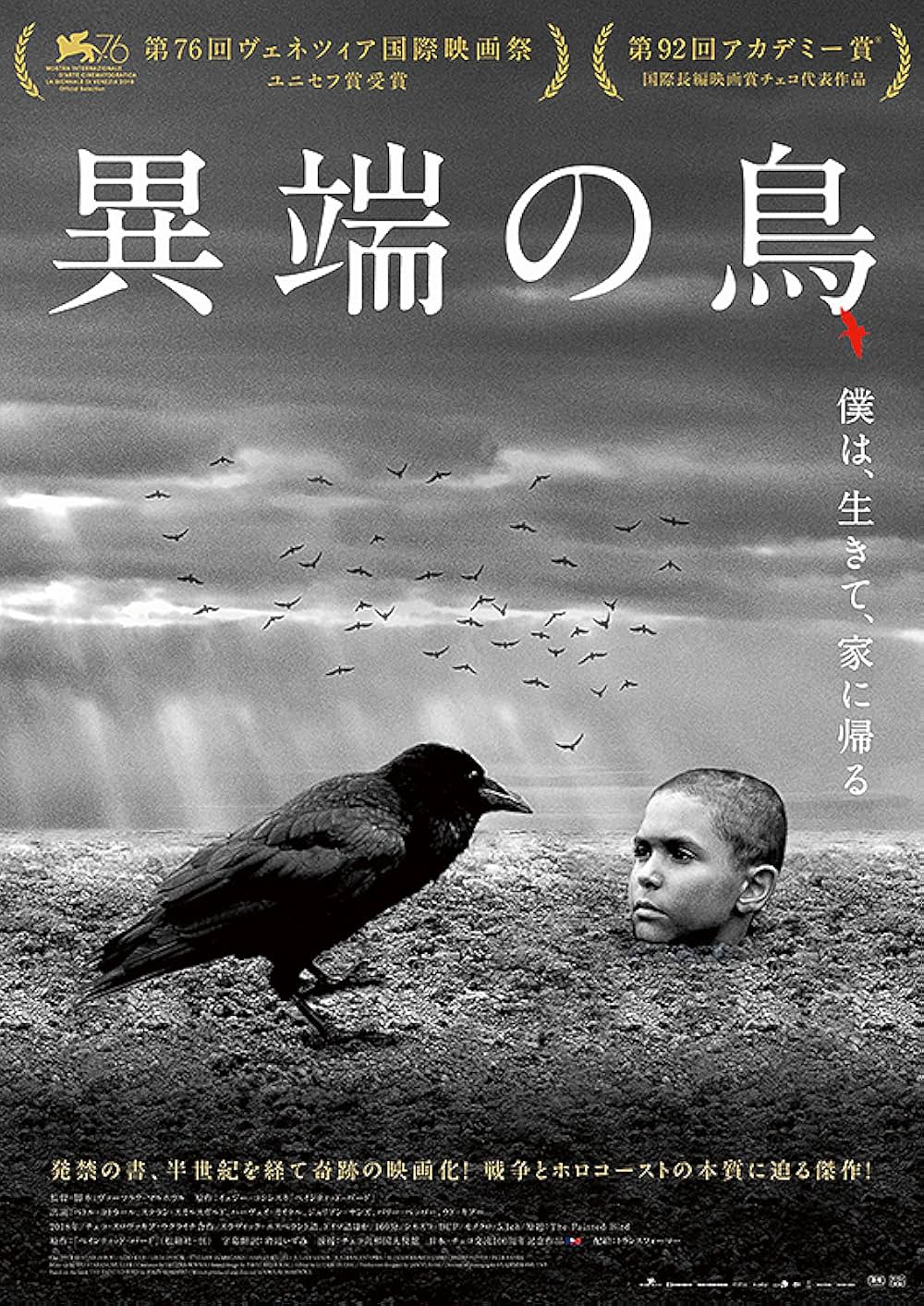 異端の鳥の画像