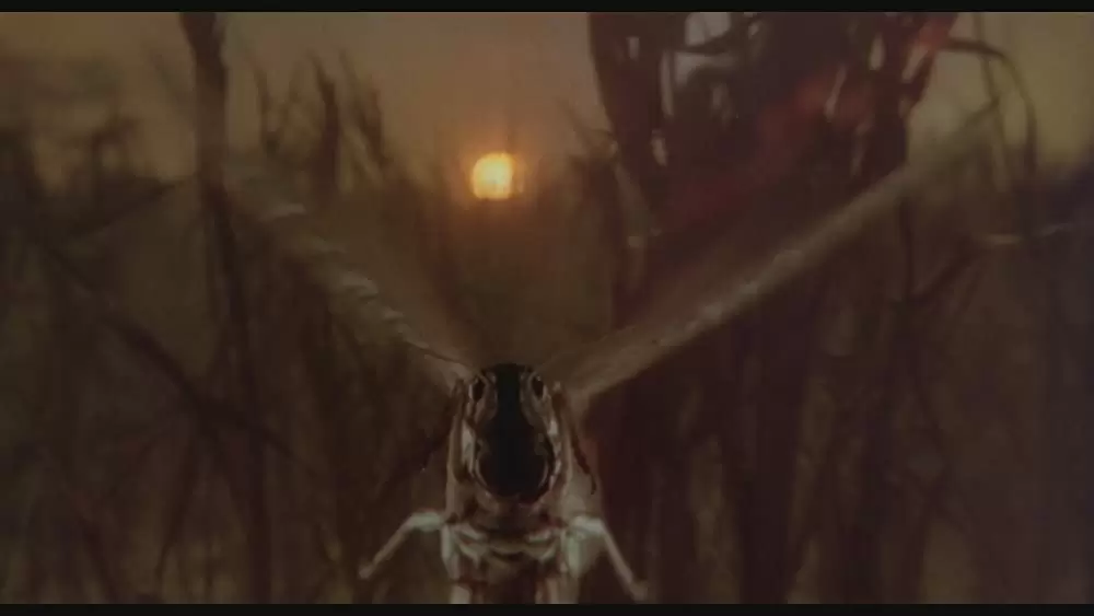 エクソシスト2の画像