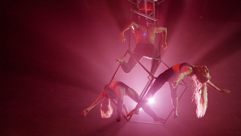 The Aerialist（原題）の画像