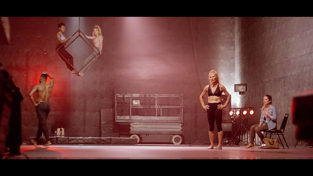 The Aerialist（原題）の画像