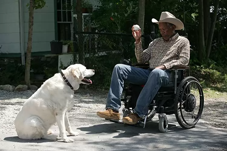 最高の人生のはじめ方の画像