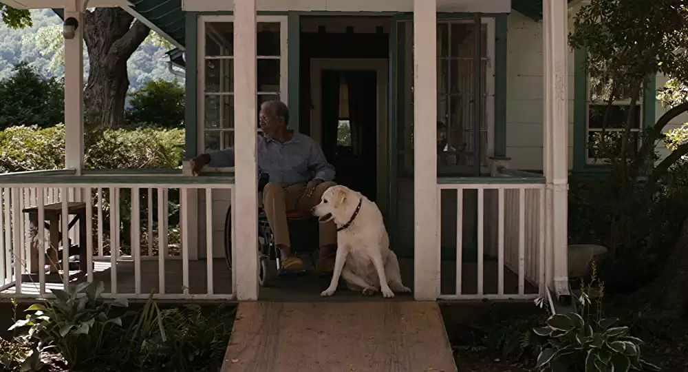 最高の人生のはじめ方の画像