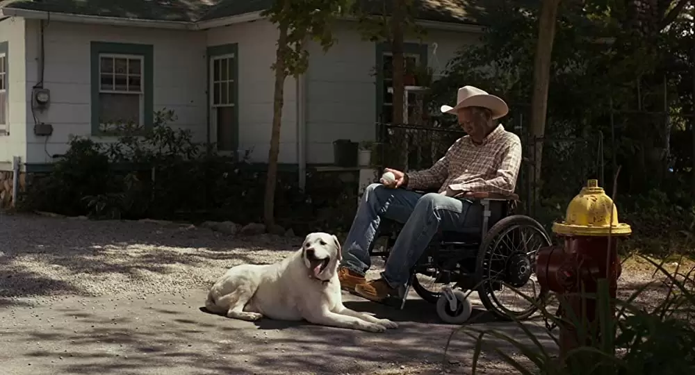 最高の人生のはじめ方の画像