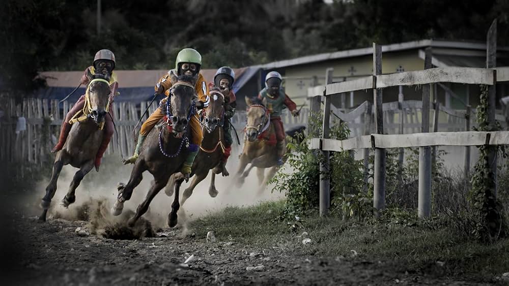 島の少年騎手 シラとフィルマンの画像