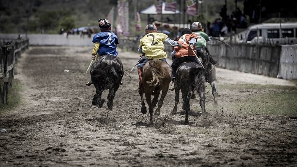 島の少年騎手 シラとフィルマンの画像