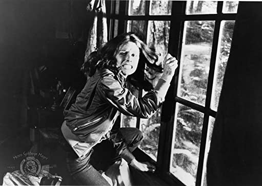 ハウリングの画像