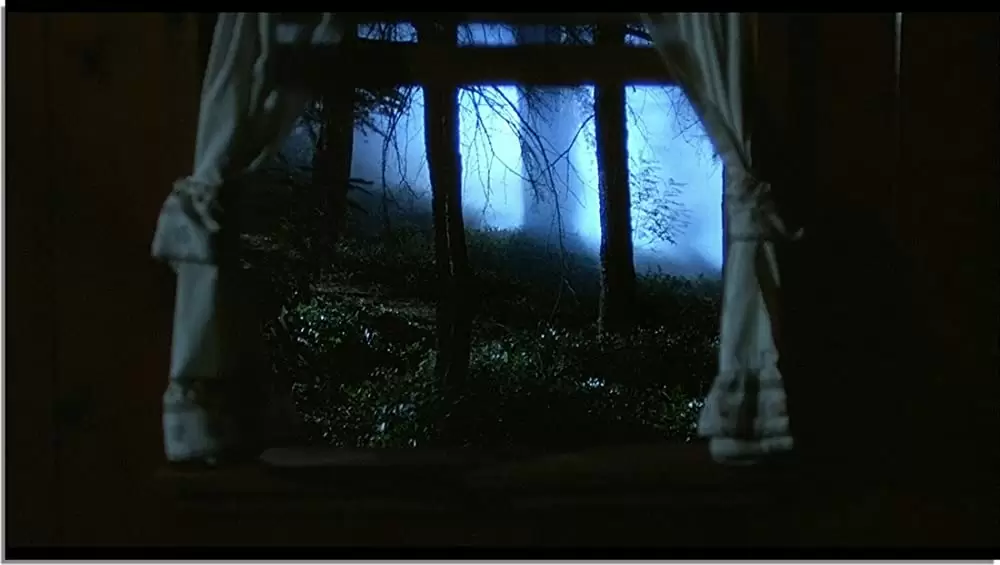 ハウリングの画像