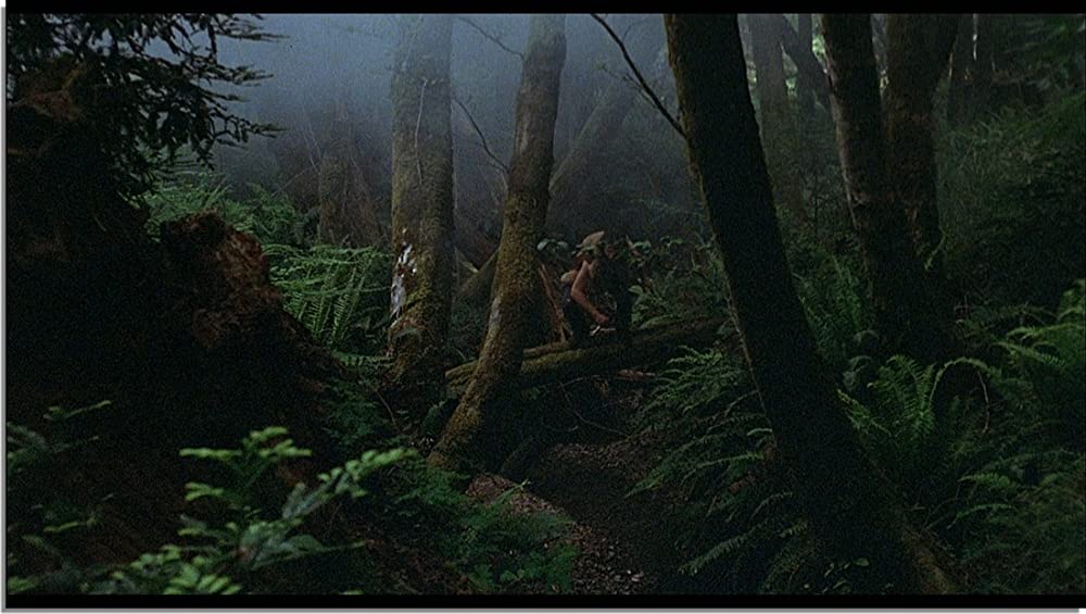 ハウリングの画像