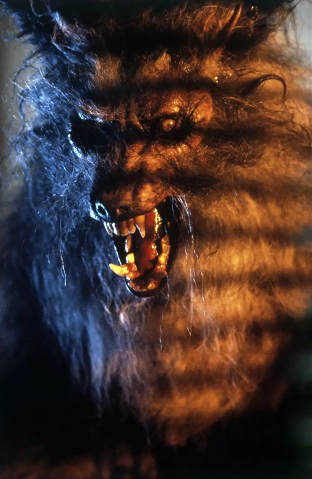 ハウリングの画像