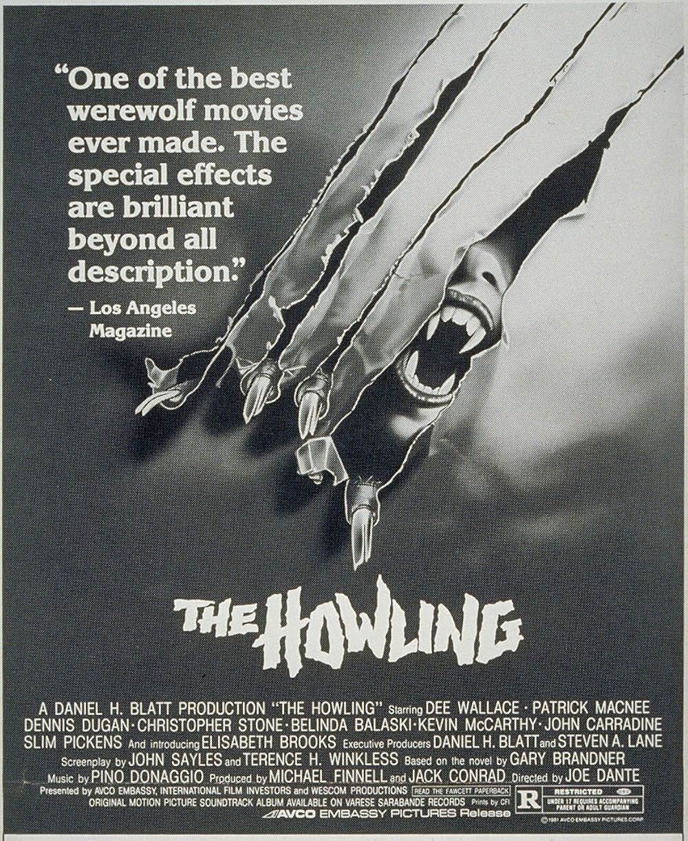 ハウリングの画像