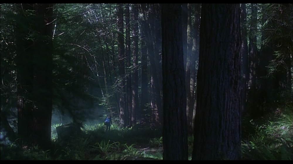 ハウリングの画像