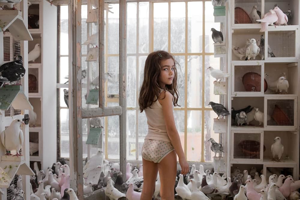 Le Sorelle Macaluso（原題）の画像