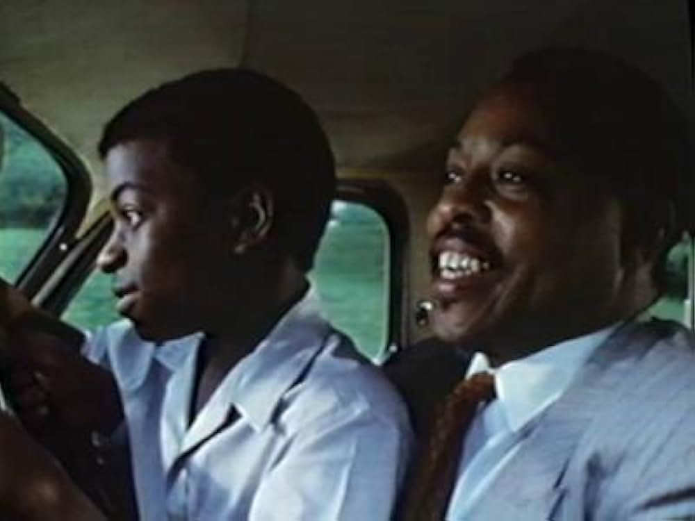 I Know Why the Caged Bird Sings（原題）の画像