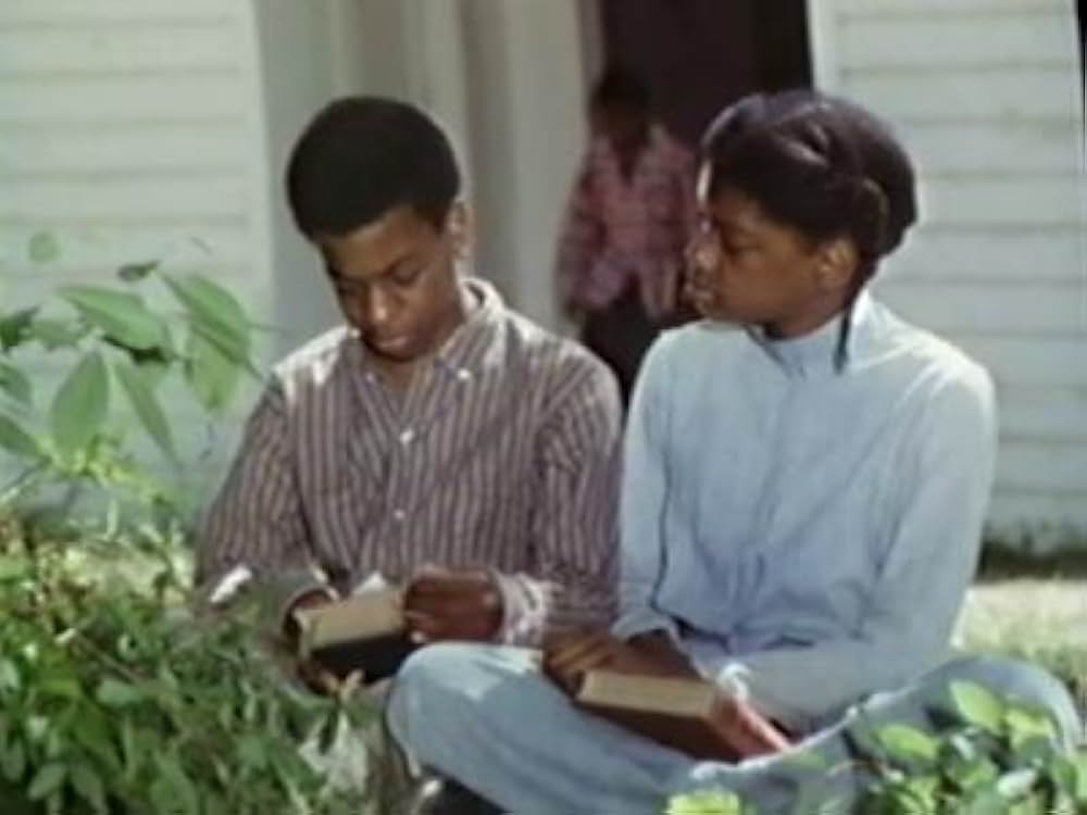 I Know Why the Caged Bird Sings（原題）の画像