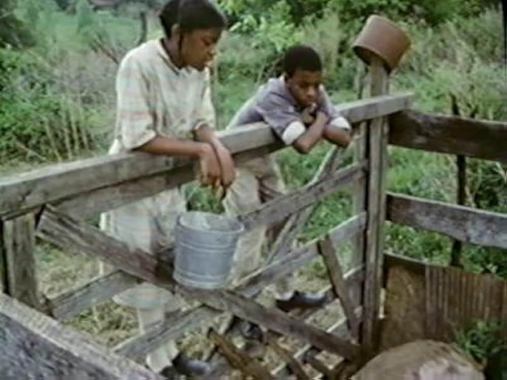 I Know Why the Caged Bird Sings（原題）の画像