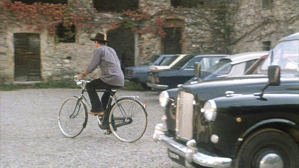 飼い慣れされた意地の画像