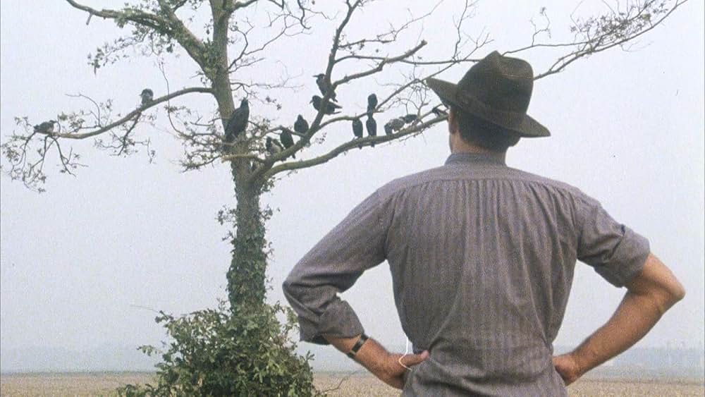 飼い慣れされた意地の画像