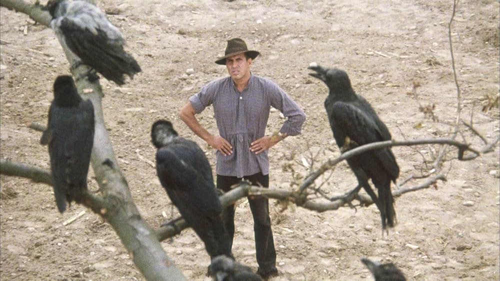 飼い慣れされた意地の画像