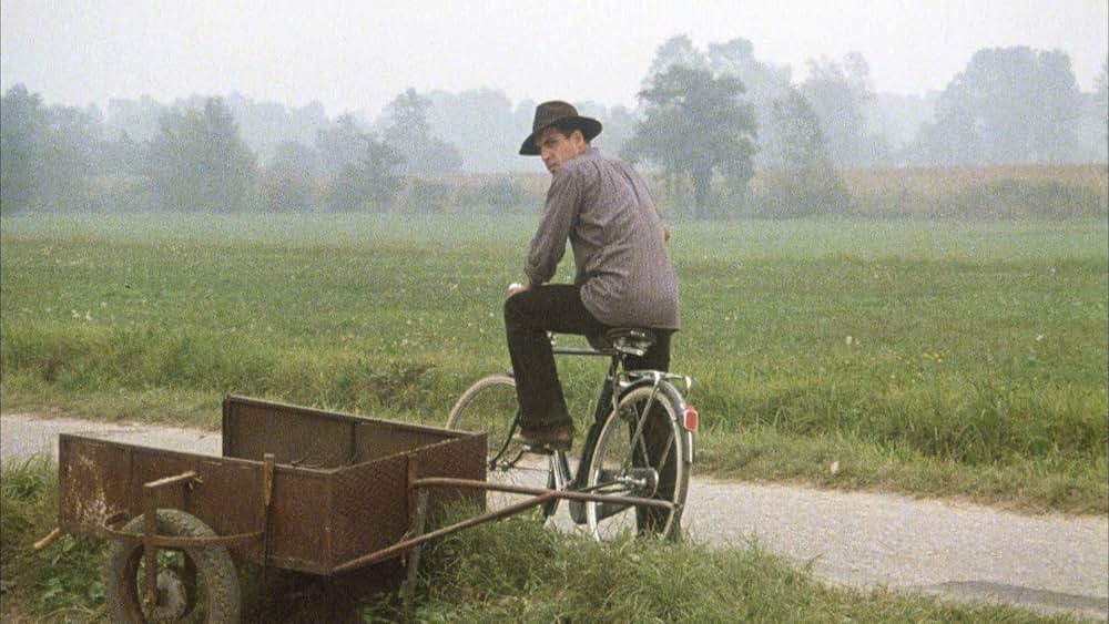 飼い慣れされた意地の画像