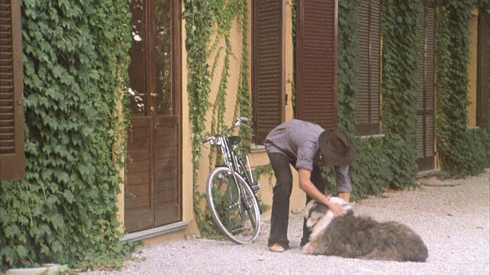 飼い慣れされた意地の画像