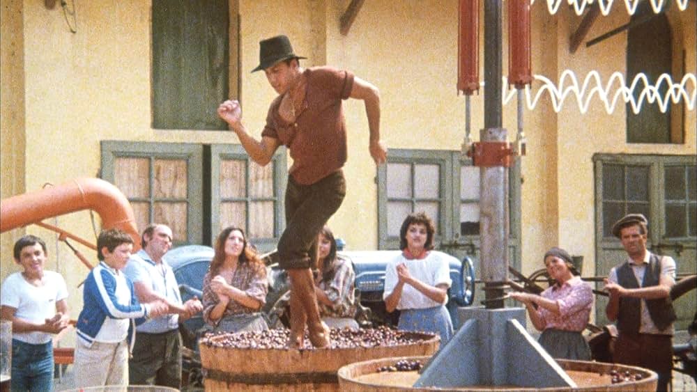 飼い慣れされた意地の画像