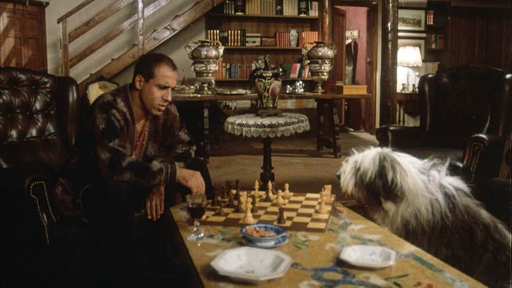 飼い慣れされた意地の画像