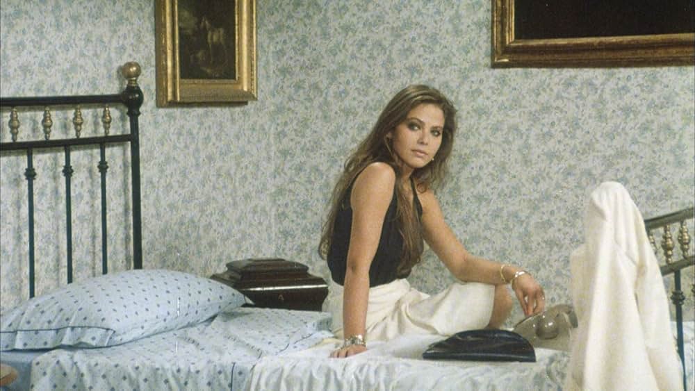 飼い慣れされた意地の画像