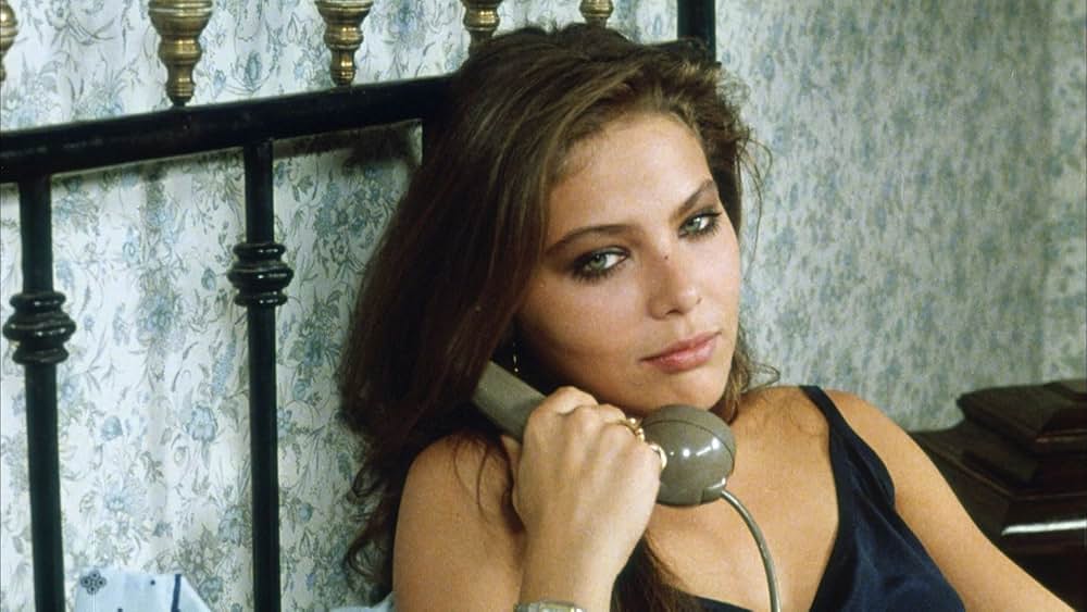 飼い慣れされた意地の画像