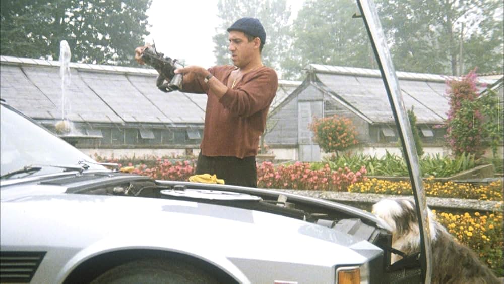 飼い慣れされた意地の画像