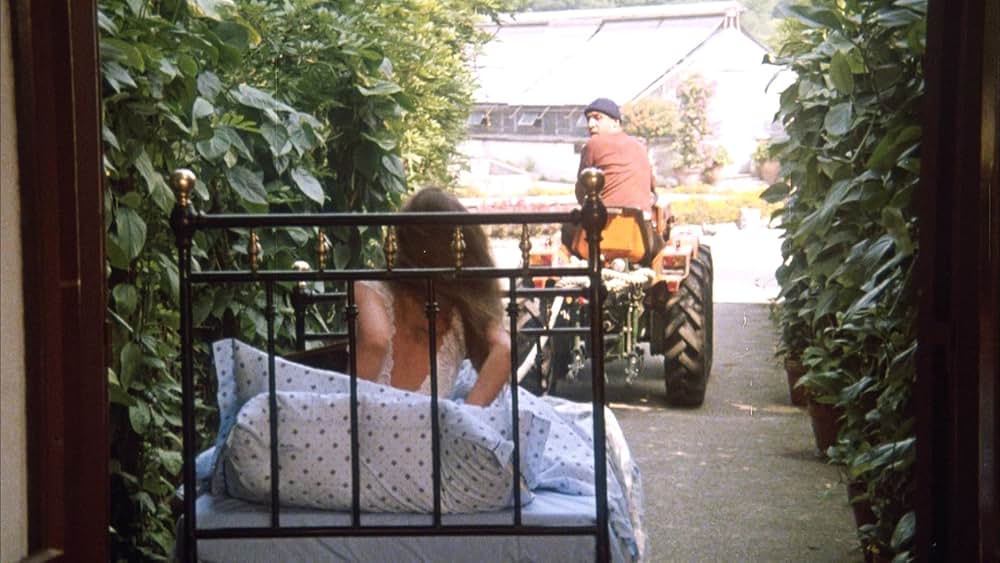 飼い慣れされた意地の画像