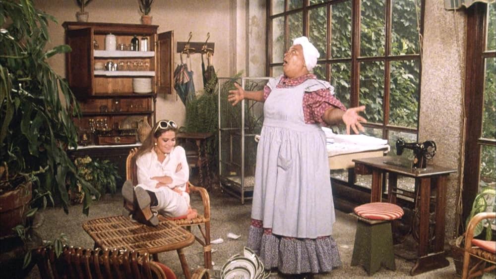 飼い慣れされた意地の画像