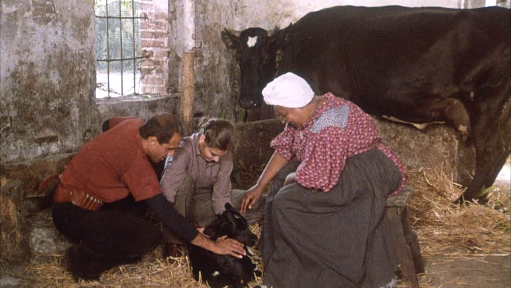 飼い慣れされた意地の画像