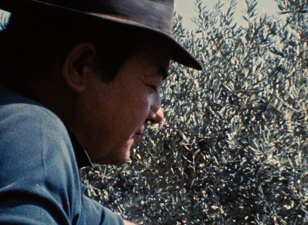 ポルトガルにおける階級闘争からのいくつかの情景の画像