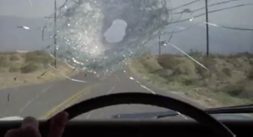 サイクル・ヴィクセンズ（原題）の画像