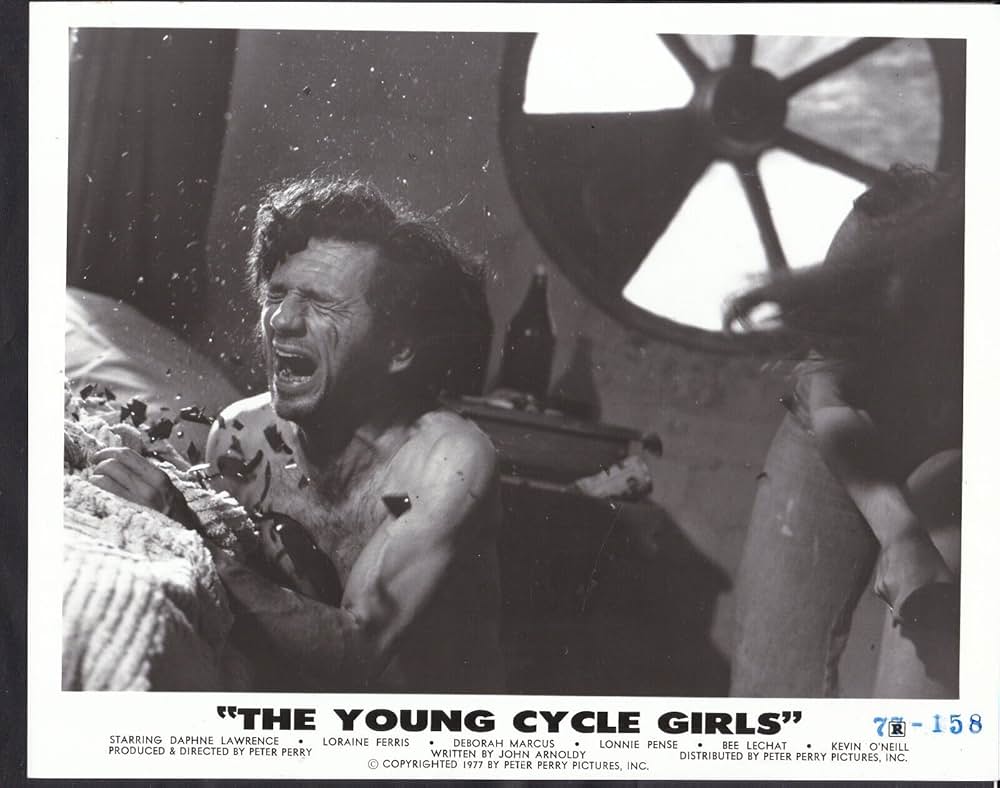 サイクル・ヴィクセンズ（原題）の画像