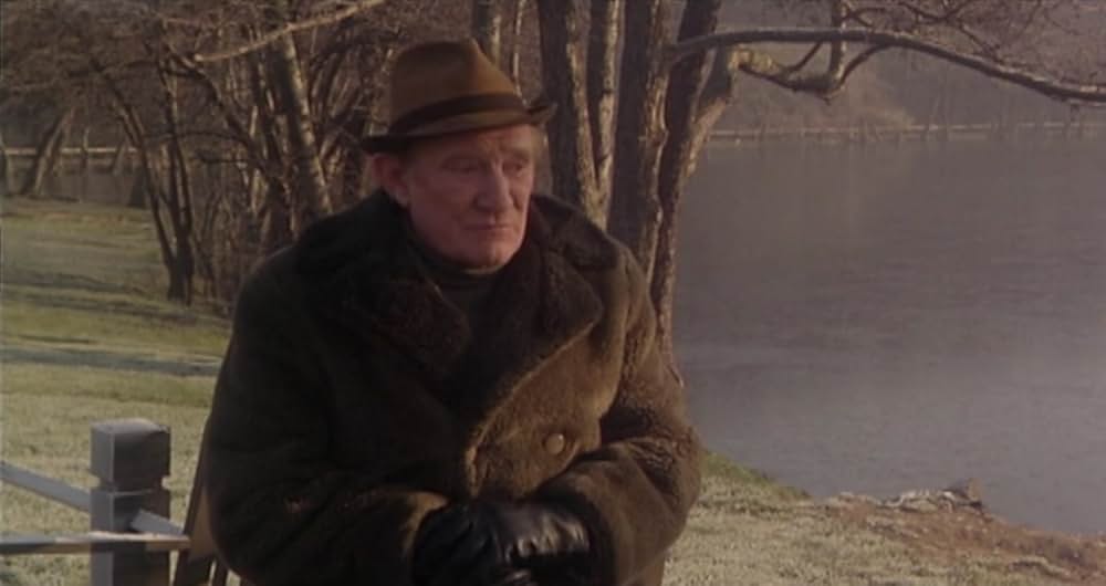 スティービーの写真