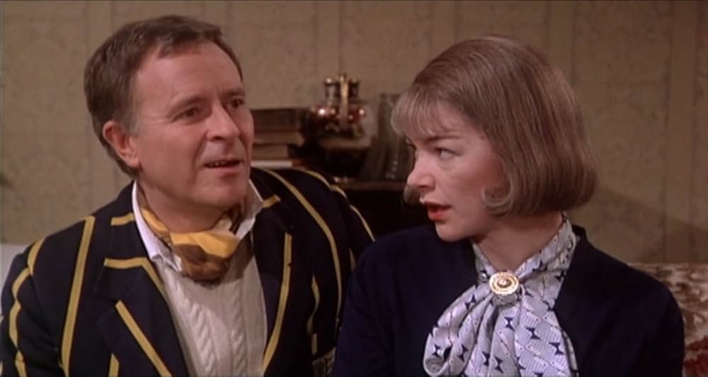 スティービーの画像