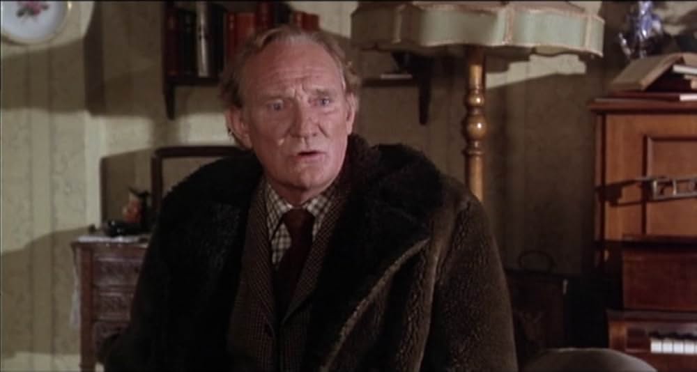 スティービーの画像