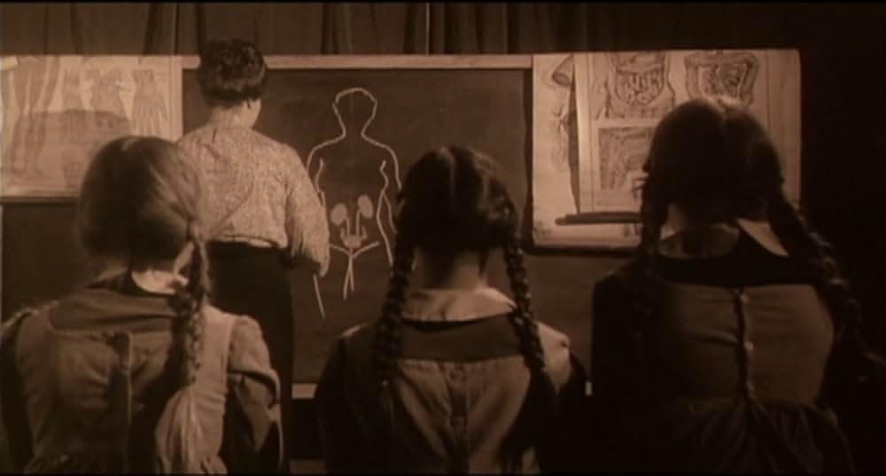 スティービーの画像