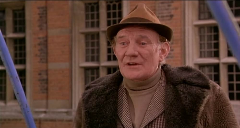 スティービーの画像