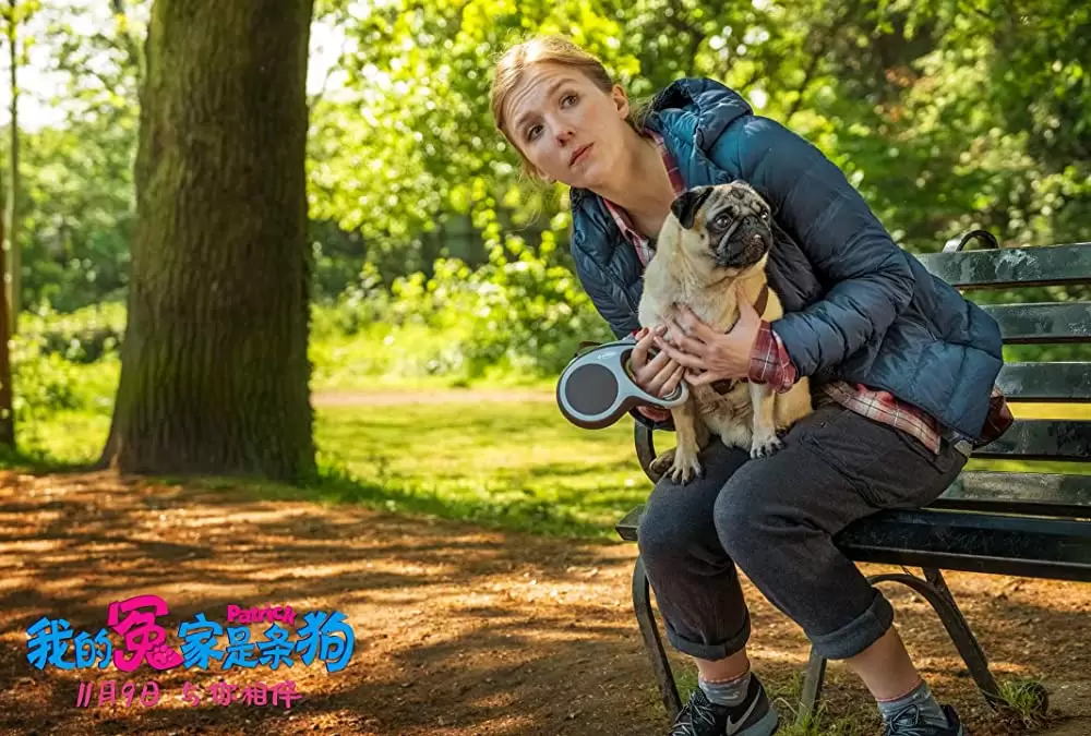 パグ・アクチュアリー ダメな私のワンダフル・ライフの画像