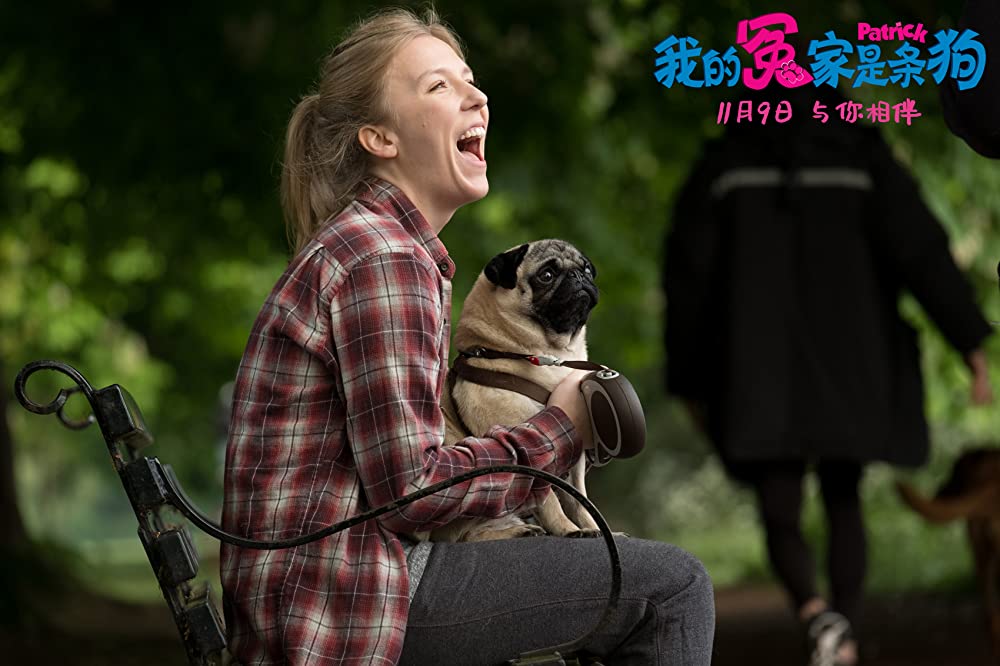 パグ・アクチュアリー ダメな私のワンダフル・ライフの画像