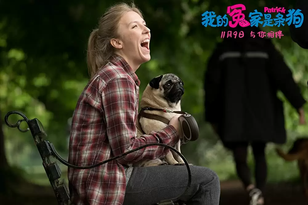 パグ・アクチュアリー ダメな私のワンダフル・ライフの画像