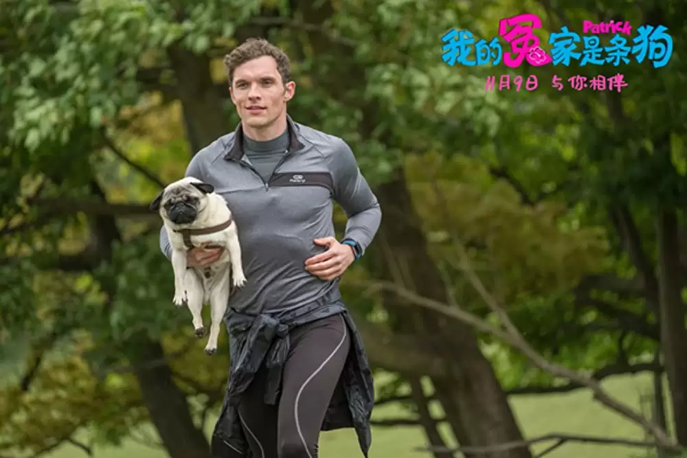 パグ・アクチュアリー ダメな私のワンダフル・ライフの画像