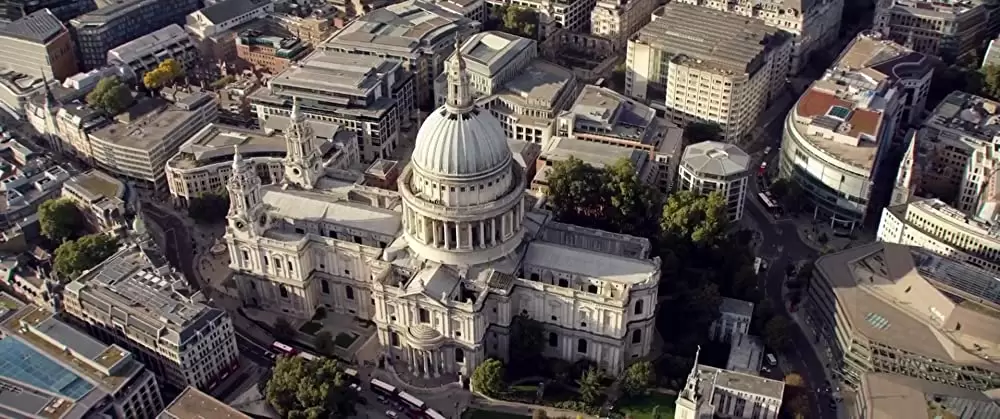 パグ・アクチュアリー ダメな私のワンダフル・ライフの画像