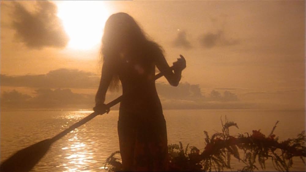 トンチキ・バナナ航空の画像