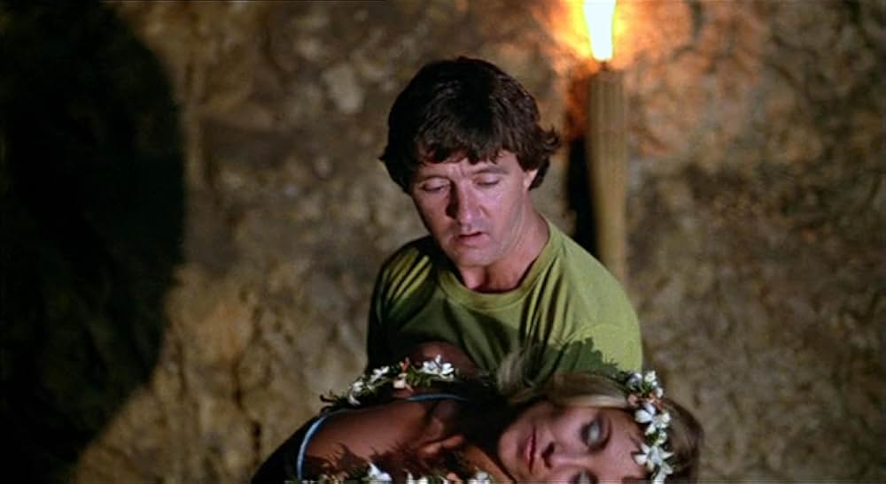 トンチキ・バナナ航空の画像